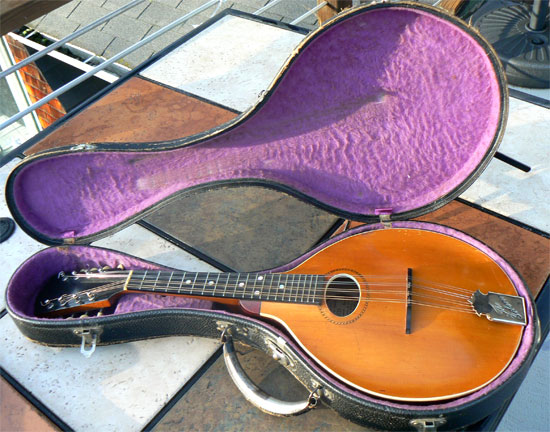 Gibson マンドリン 1916年　ハードケース付き 1916 Gibson A-4 Carved-top Mandolin